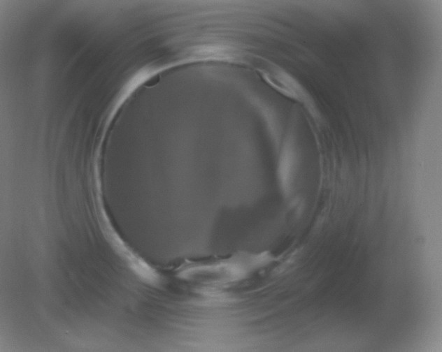 X0000082181291200701270017