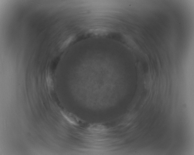 X0000082181298200701270016