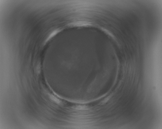 X0000082181306200701270016