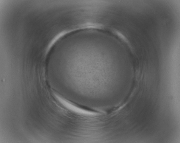 X0000082181310200701270016