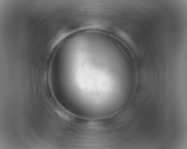 X0000082181316200701270016