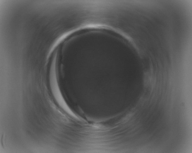 X0000082181319200701270016
