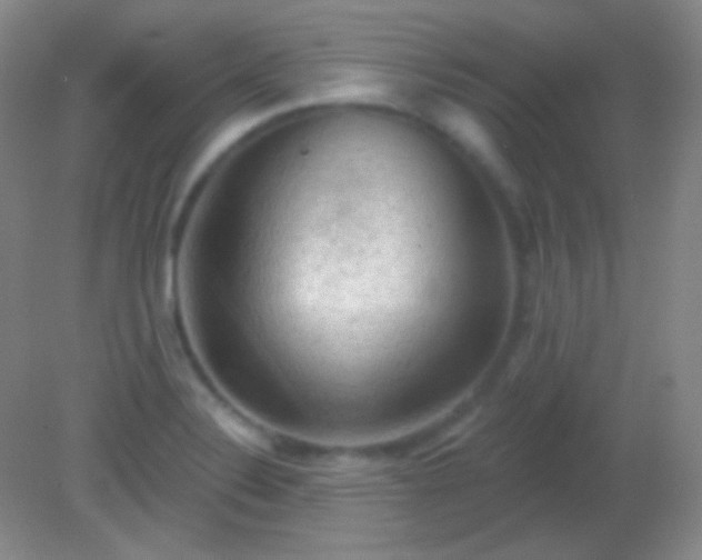 X0000082181324200701270016