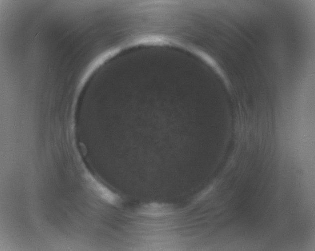 X0000082181327200701270016