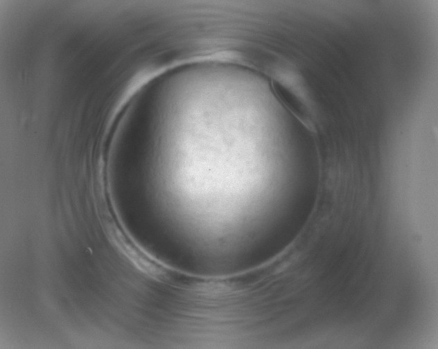 X0000082181332200701270016