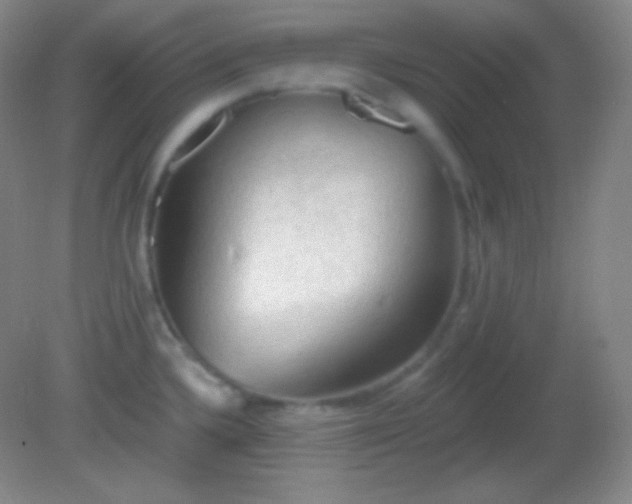 X0000082181336200701270016