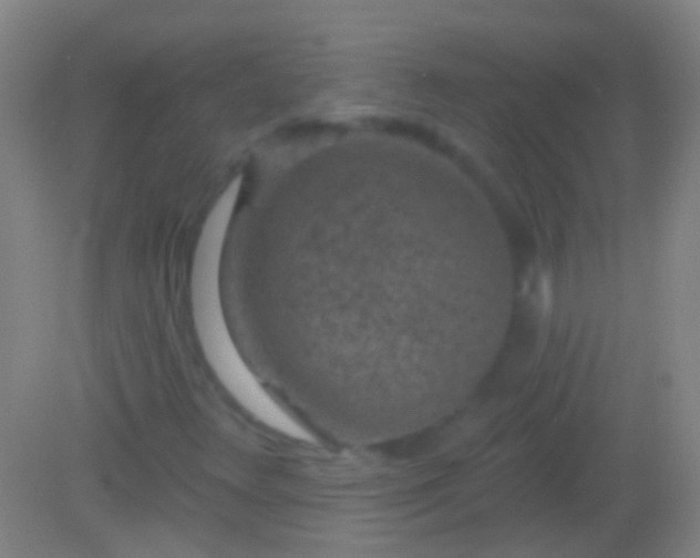 X0000082181348200701270016