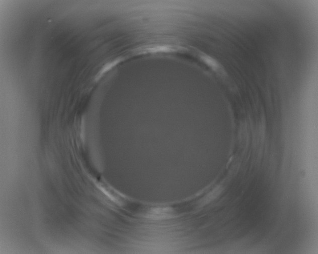 X0000082181353200701270016