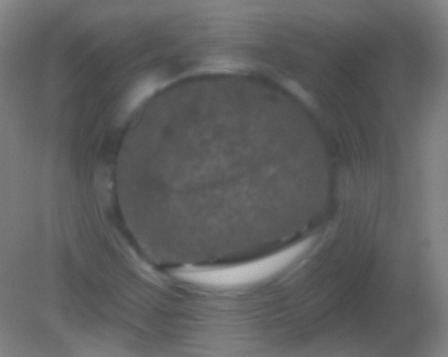 X0000082181355200701270016