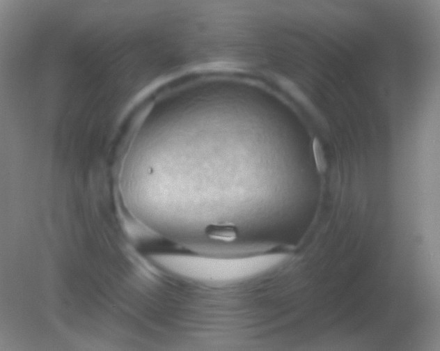 X0000082181356200701270016