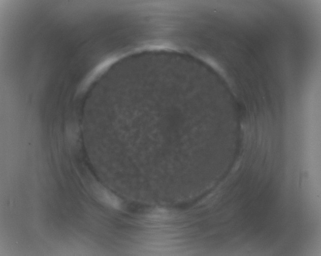 X0000082181359200701270016