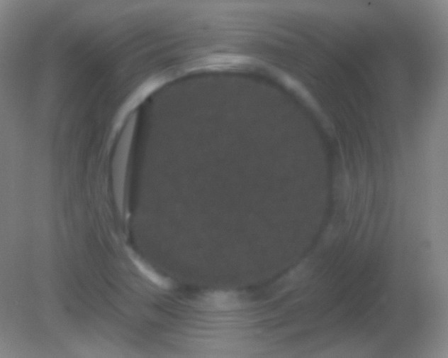 X0000082181362200701270016