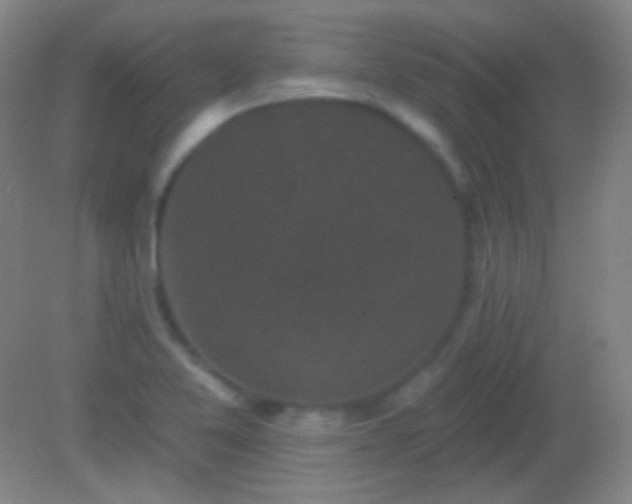 X0000082181365200701270015