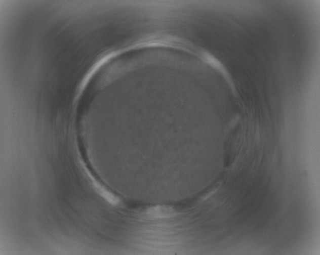 X0000082181368200701270015
