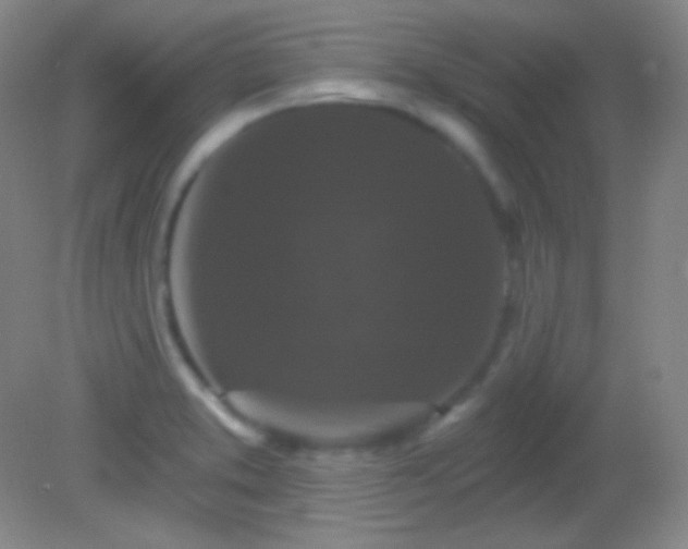 X0000082181373200701270015