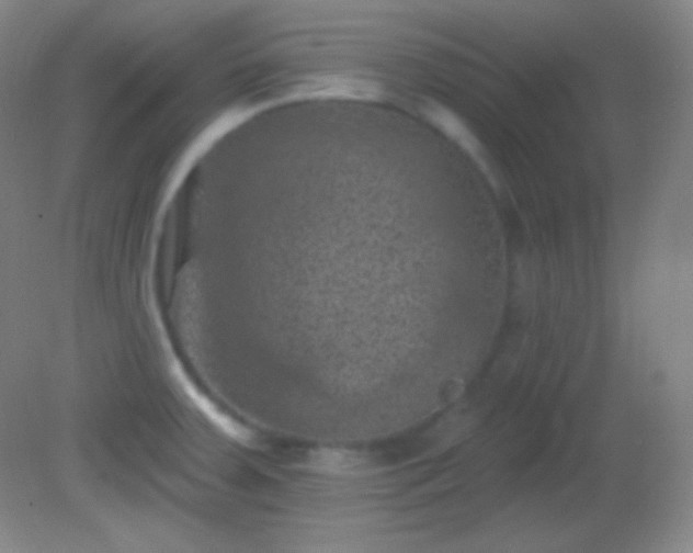 X0000082181379200701270015