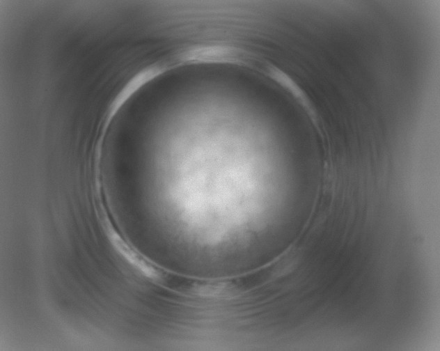 X0000082181386200701270015