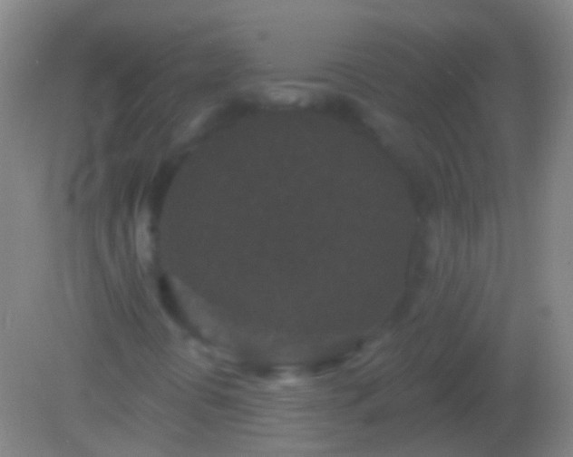 X0000082181394200701270014