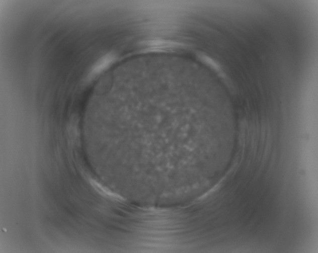 X0000082181403200701270014