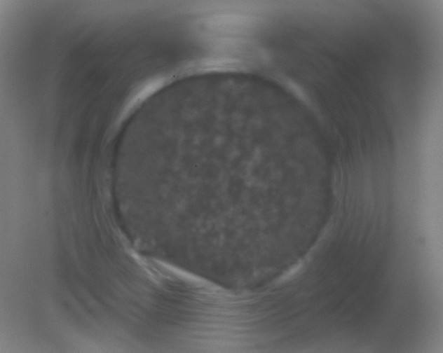 X0000082181405200701270014