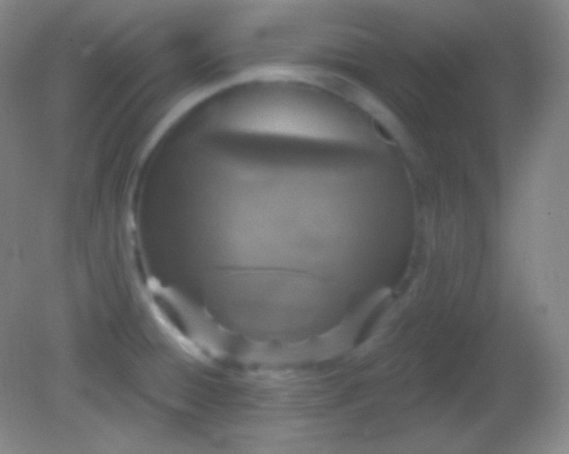 X0000082181428200701270015