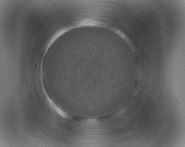 X0000082181431200701270015