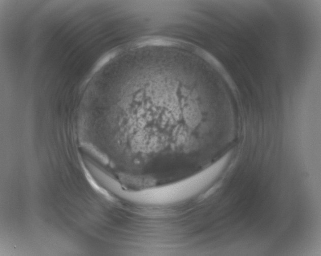 X0000082181433200701270015