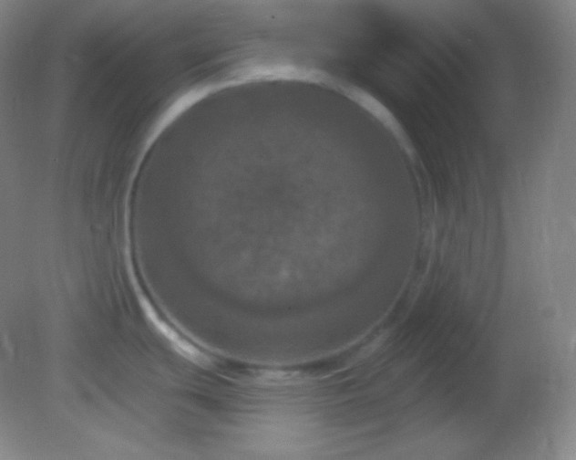 X0000082181439200701270015