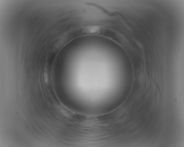 X0000082181442200701270014
