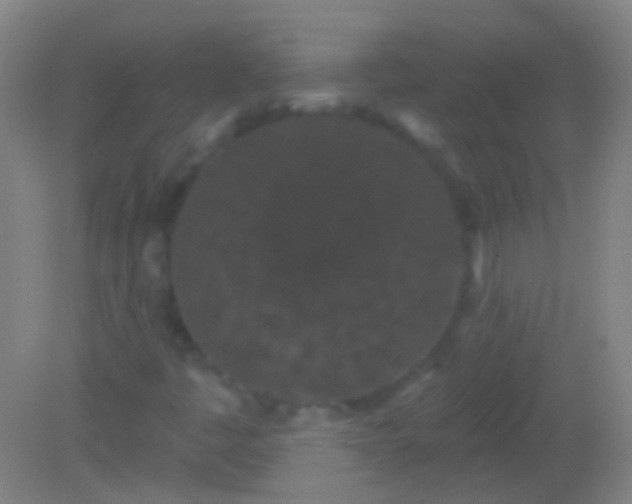 X0000082181445200701270014