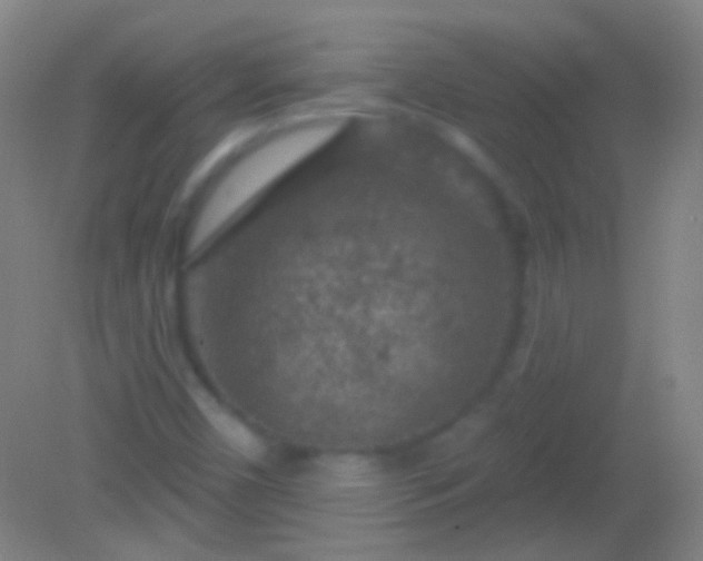 X0000082181450200701270014