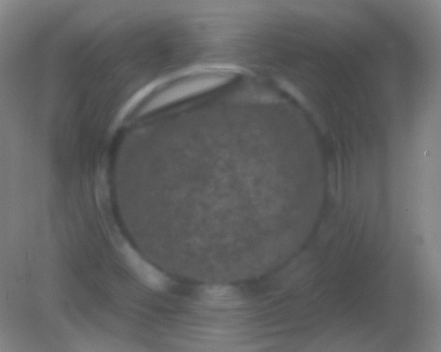 X0000082181452200701270014