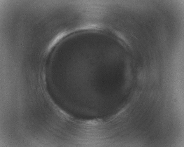 X0000082181455200701270014