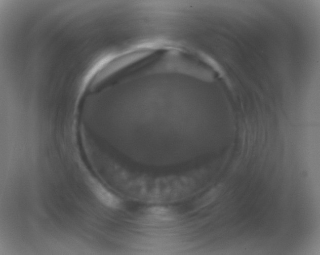 X0000082181463200701270014