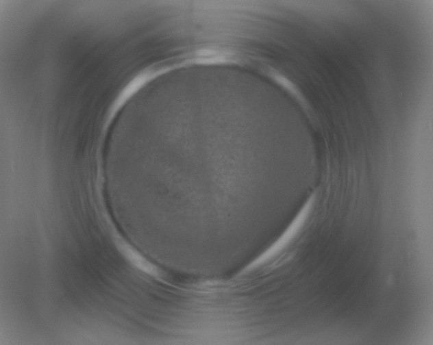 X0000082181467200701270014
