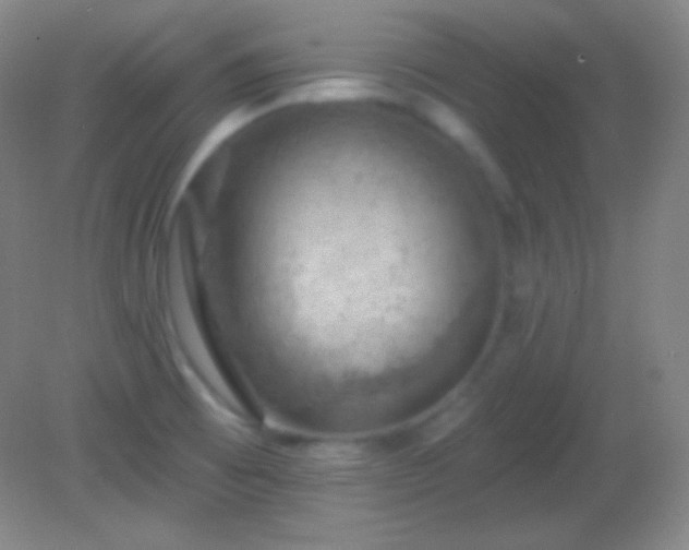 X0000082181473200701270014