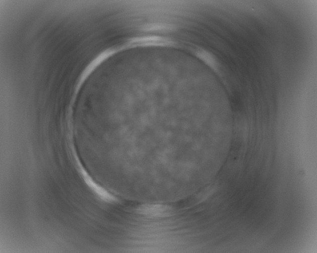 X0000082181474200701270014