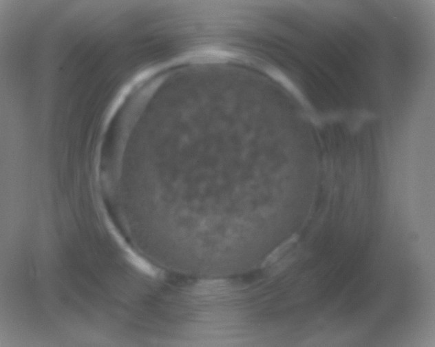 X0000082181477200701270014