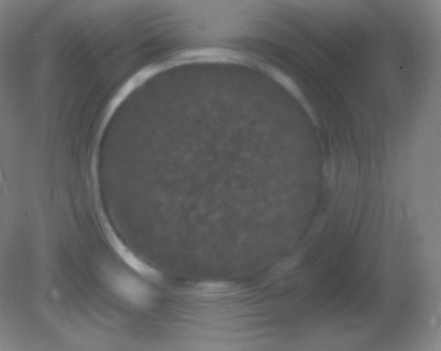 X0000082181482200701270014