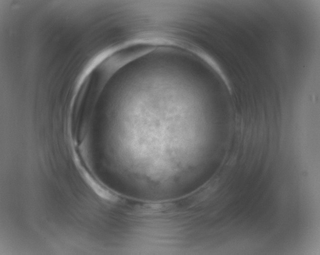 X0000082181485200701270013