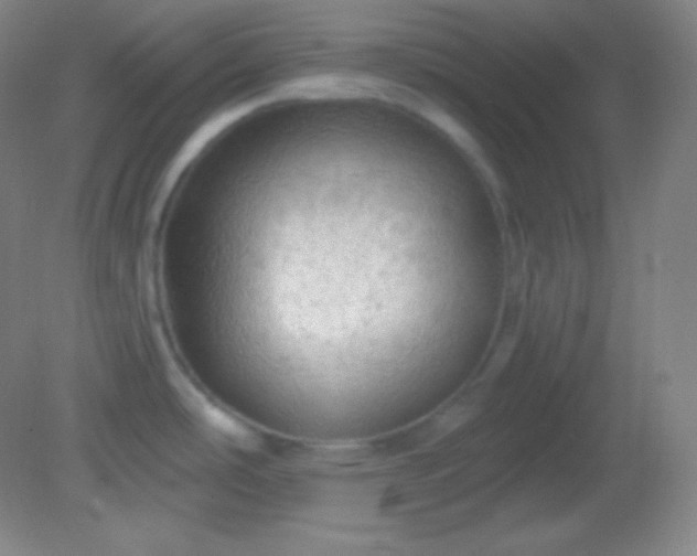 X0000082181486200701270013