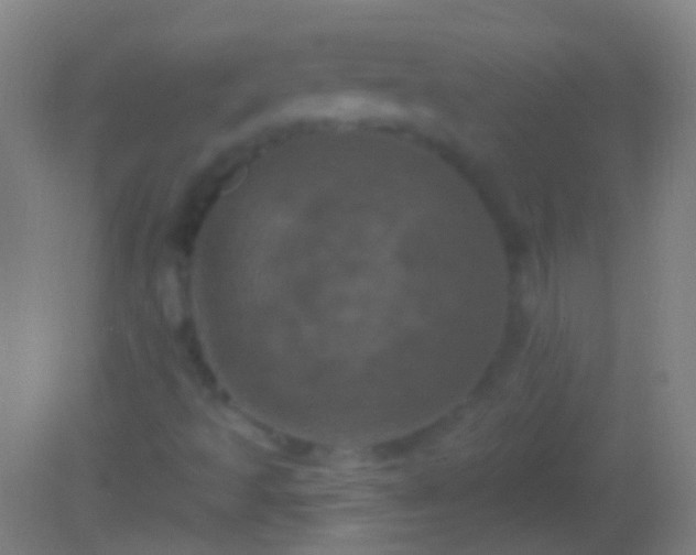 X0000082181493200701270013
