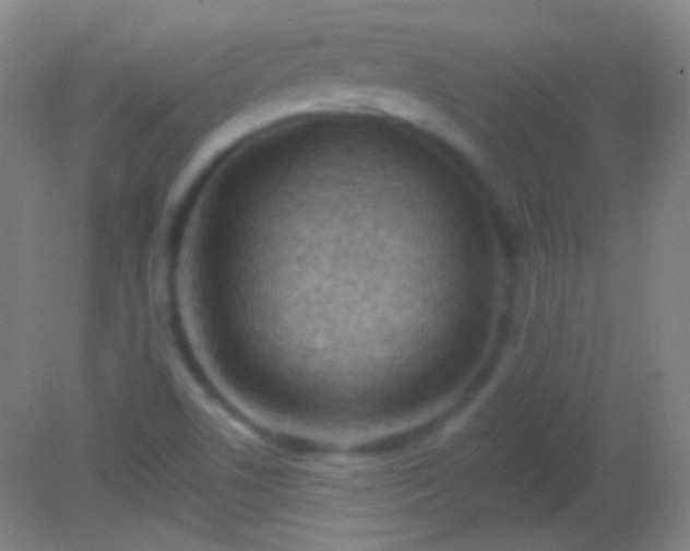 X0000082181506200701270013