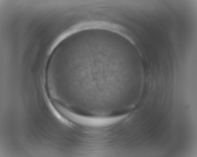 X0000082181523200701270013