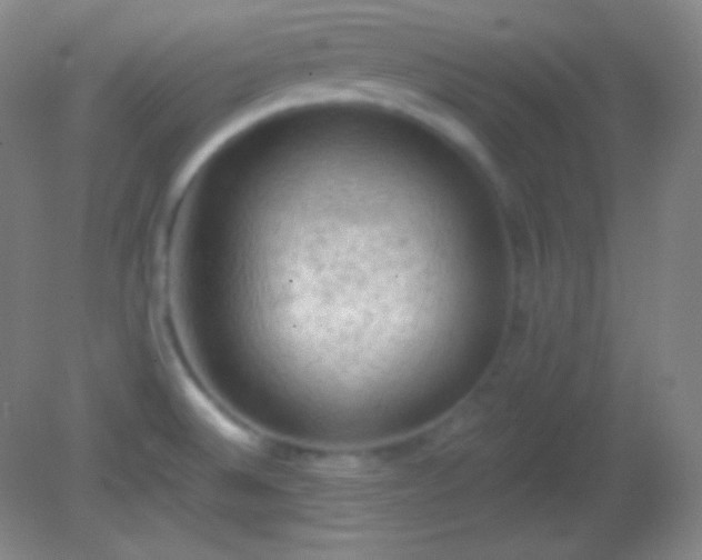 X0000082181524200701270013