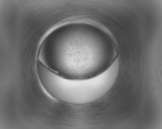 X0000082181528200701270013