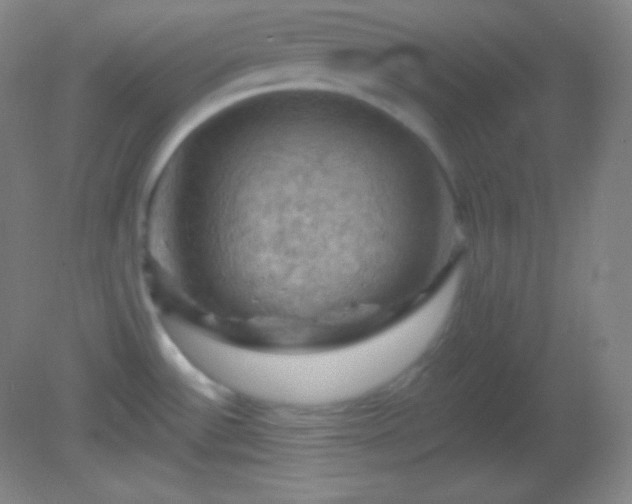 X0000082181532200701270013