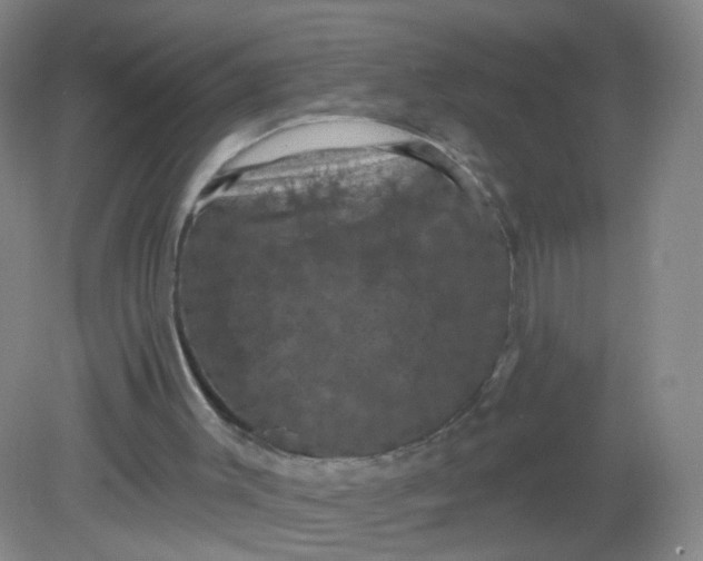 X0000082180003200702021804
