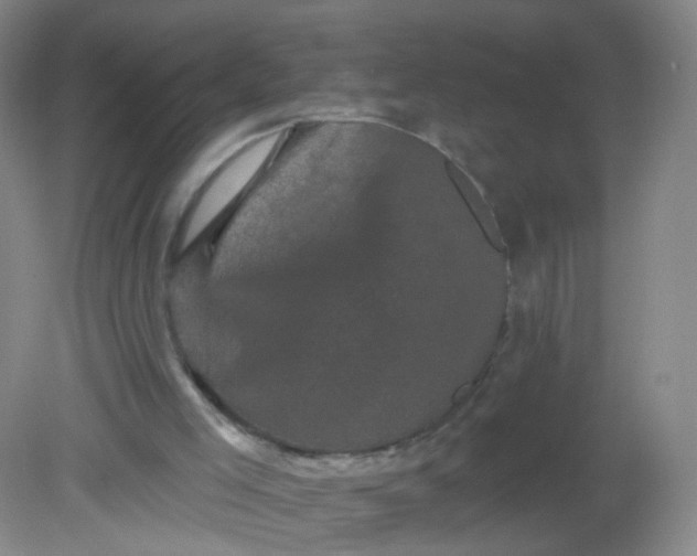 X0000082180005200702021804