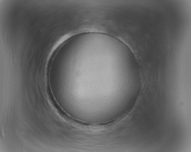 X0000082180008200702021804
